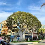Apartment Le Coq Bleu D'azur- Piscine - Parking - Ac -wifi Menton