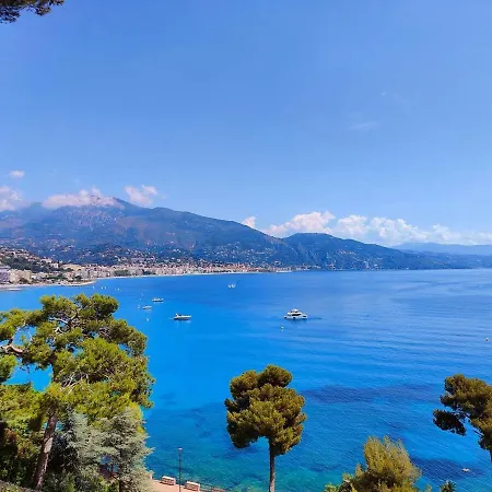 Апартаменты Le Coq Bleu D'azur- Piscine - Parking - Ac -wifi