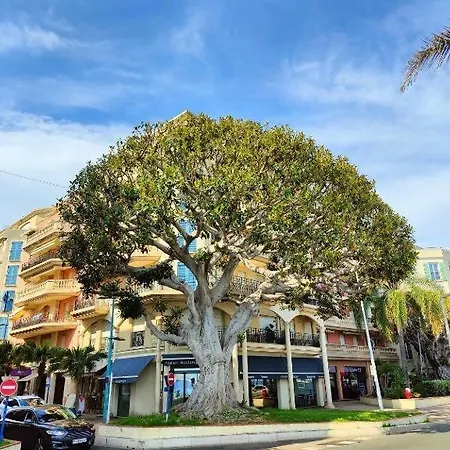 דירה Le Coq Bleu D'azur- Piscine - Parking - Ac -wifi מנטון