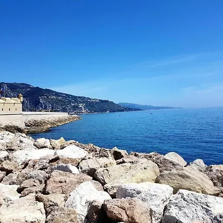 Le Coq Bleu D'azur- Piscine - Parking - Ac -wifi Appartamento Mentone