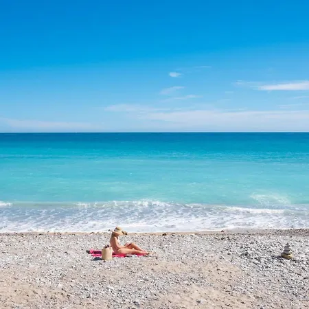 Le Coq Bleu D'azur- Piscine - Parking - Ac -wifi 公寓