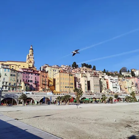 Le Coq Bleu D'azur- Piscine - Parking - Ac -wifi Mentone
