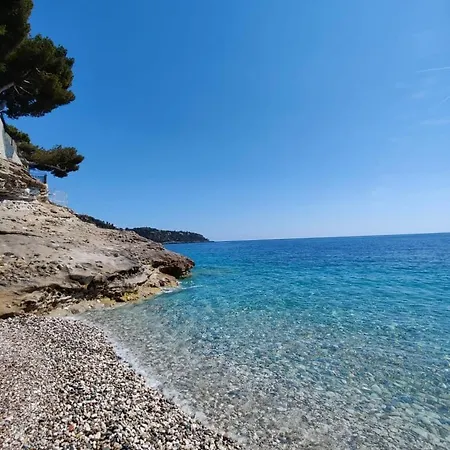 Le Coq Bleu D'azur- Piscine - Parking - Ac -wifi Menton